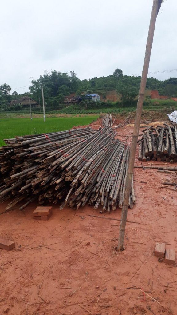 Xây dựng và phục chế công trình văn hóa